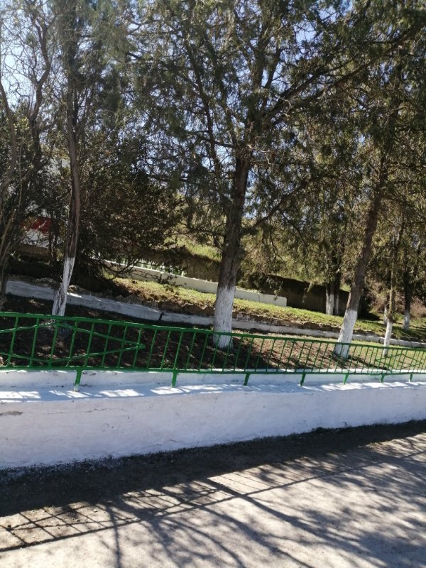 photo-8