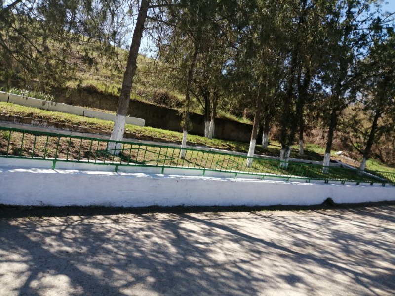photo-11