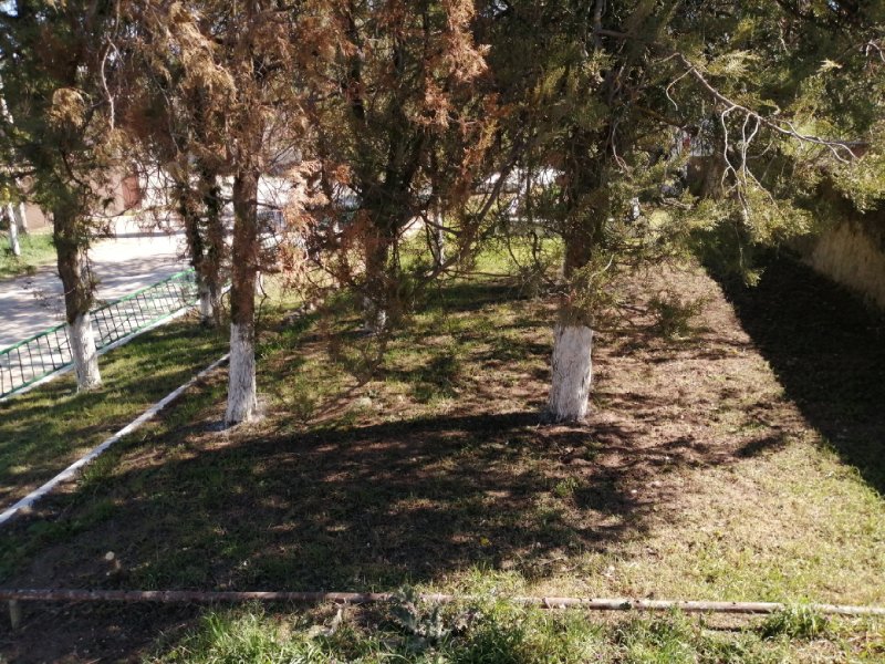 photo-14