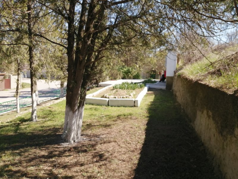 photo-15