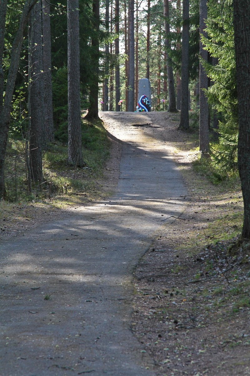 photo-7
