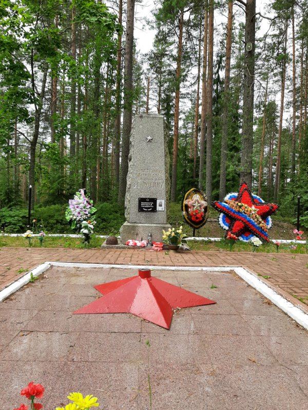 photo-6