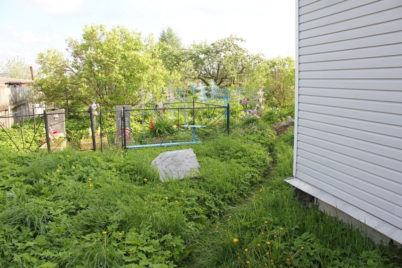photo-3