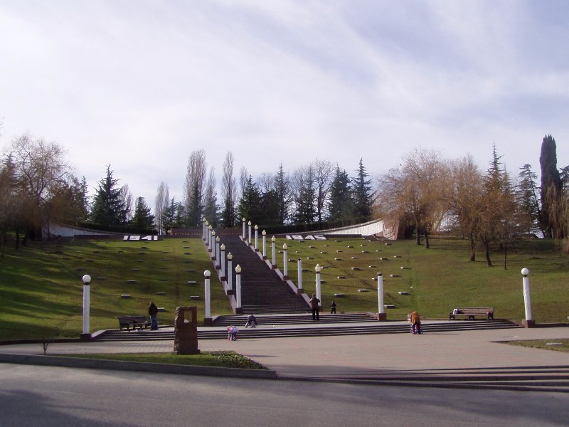 photo-3