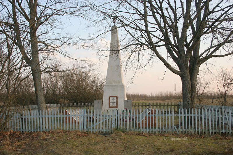 photo-11