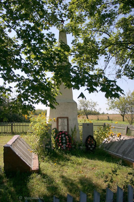 photo-1