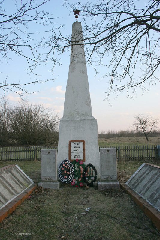 photo-3