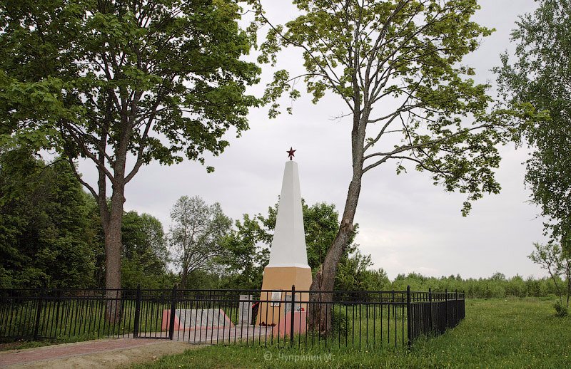 photo-6