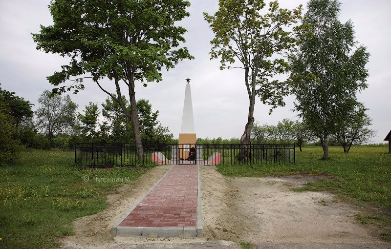 photo-7