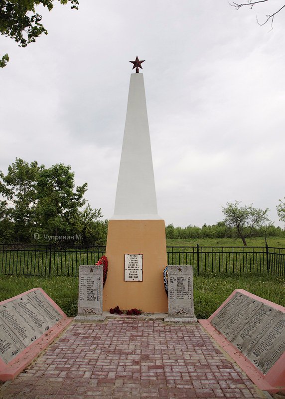 photo-8