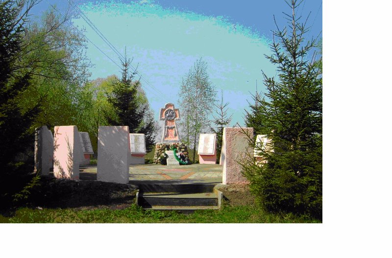 photo-3