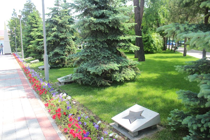 photo-0