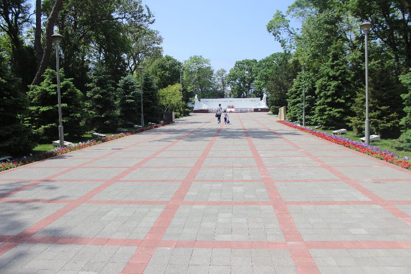 photo-1