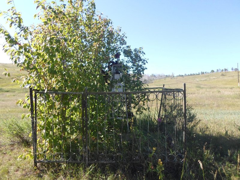 photo-0