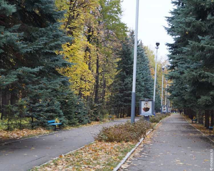 photo-1