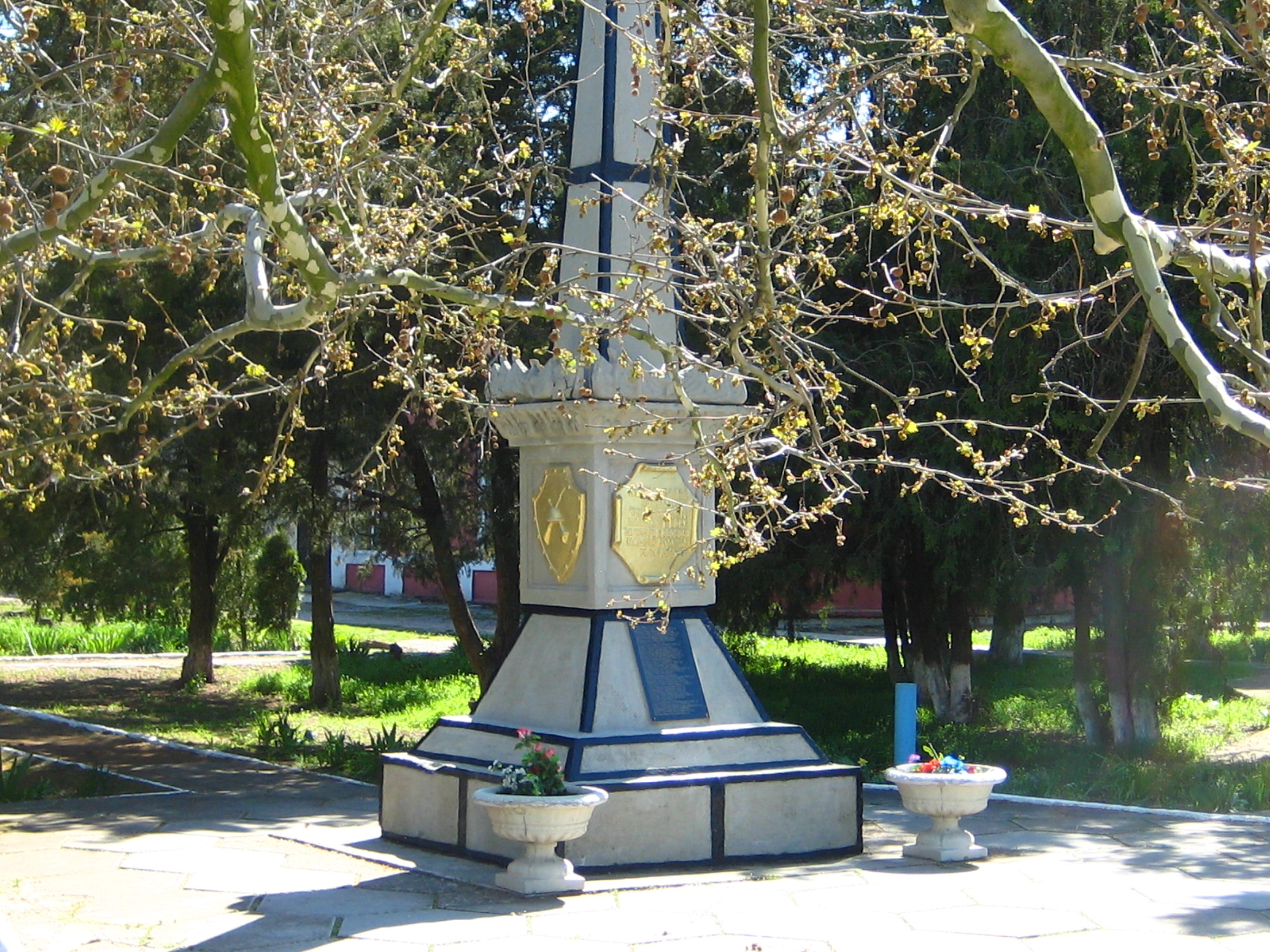 photo-4