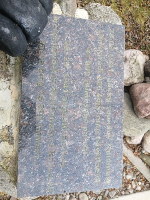 photo-1