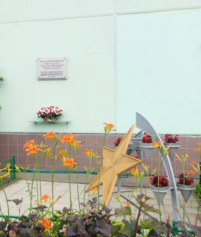 photo-1