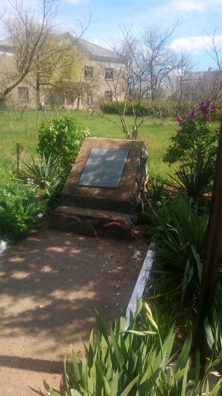photo-1