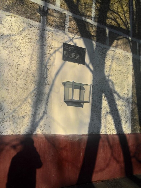 photo-0