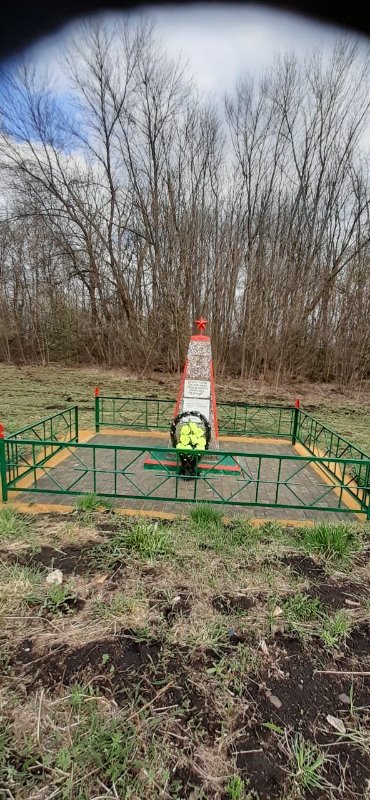 photo-1