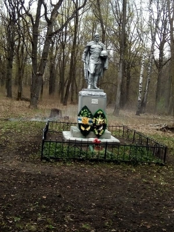 photo-1