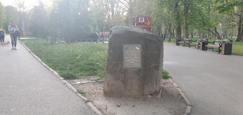 photo-7