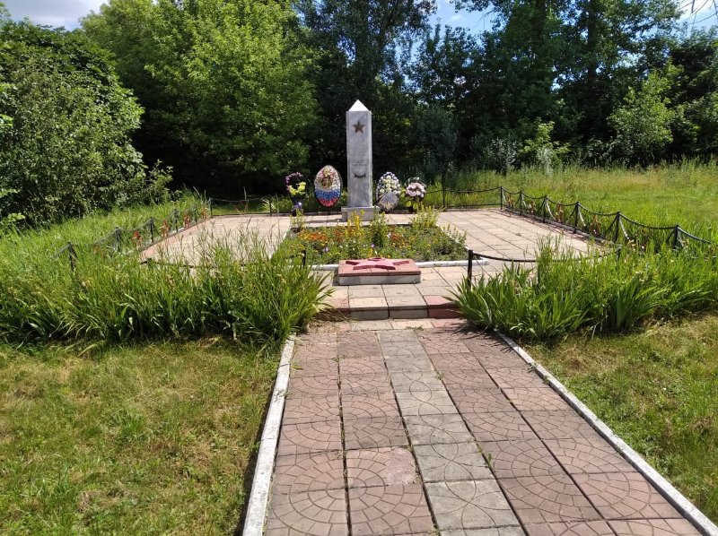 photo-1
