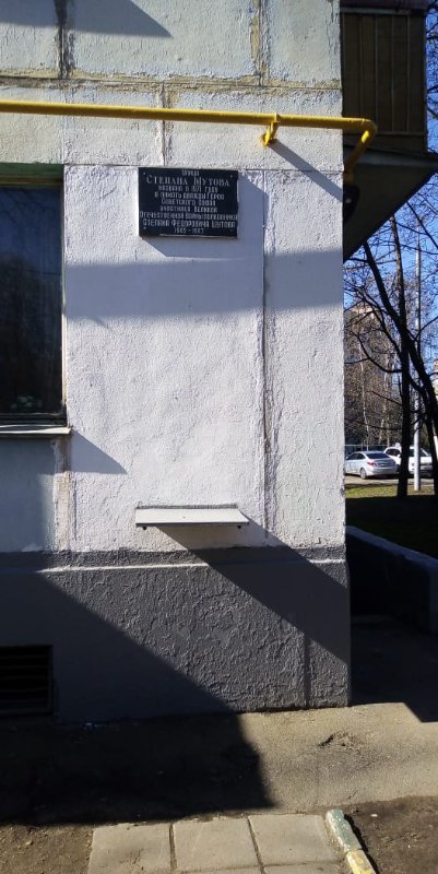 photo-1