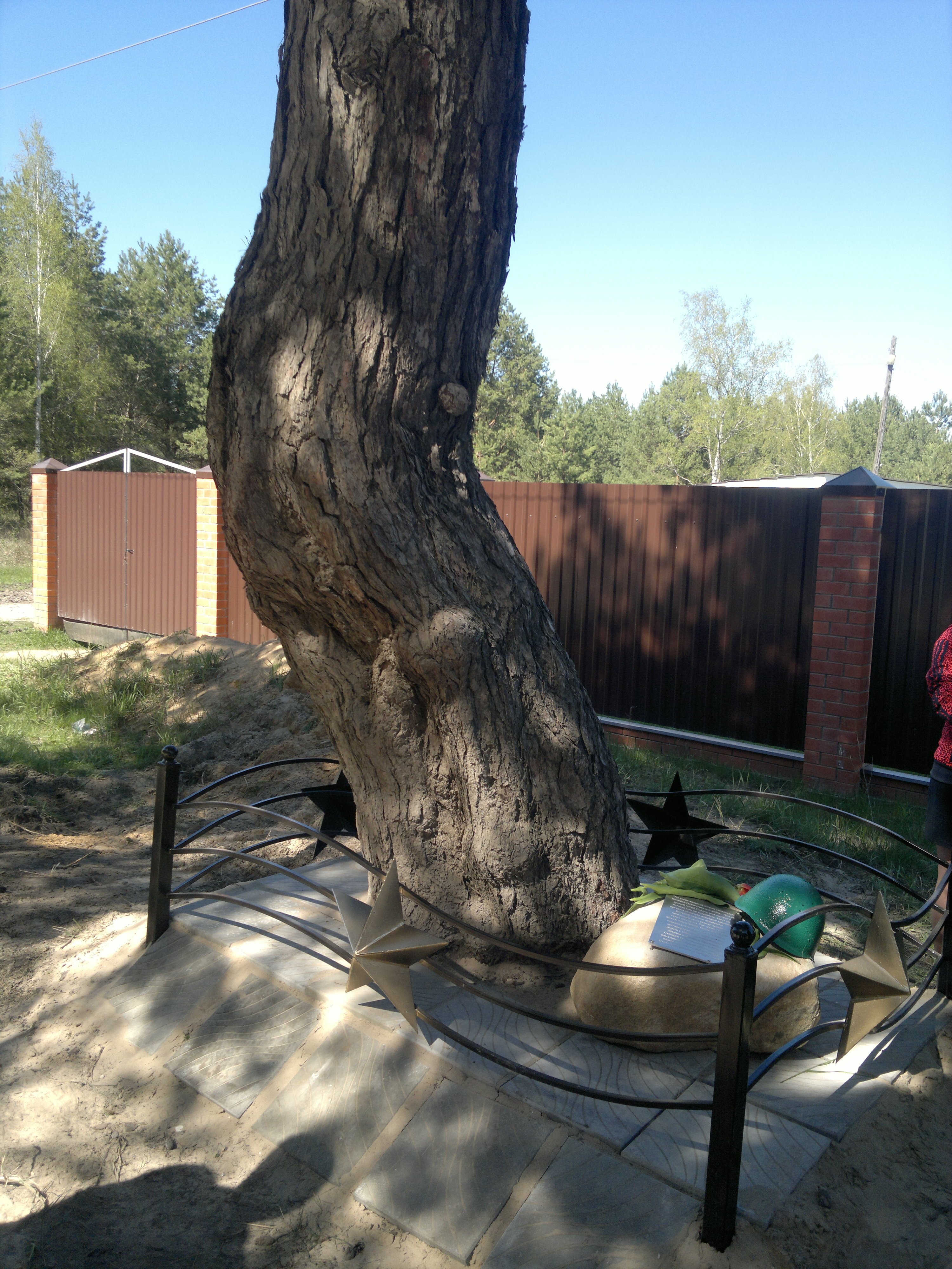 photo-2