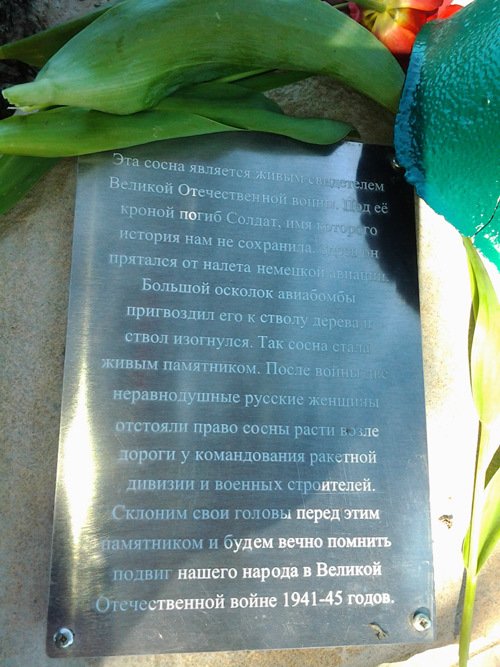 photo-1