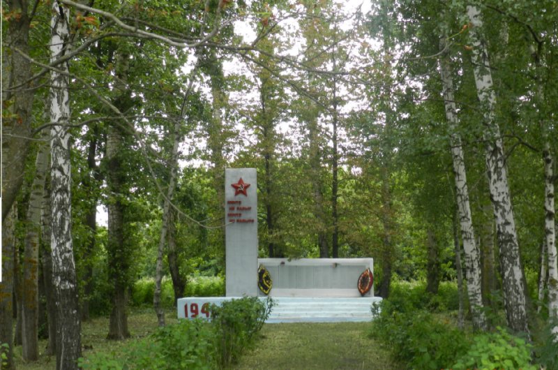 photo-1