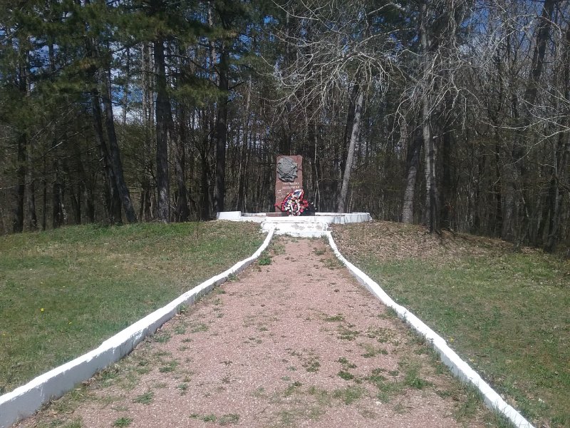 photo-0