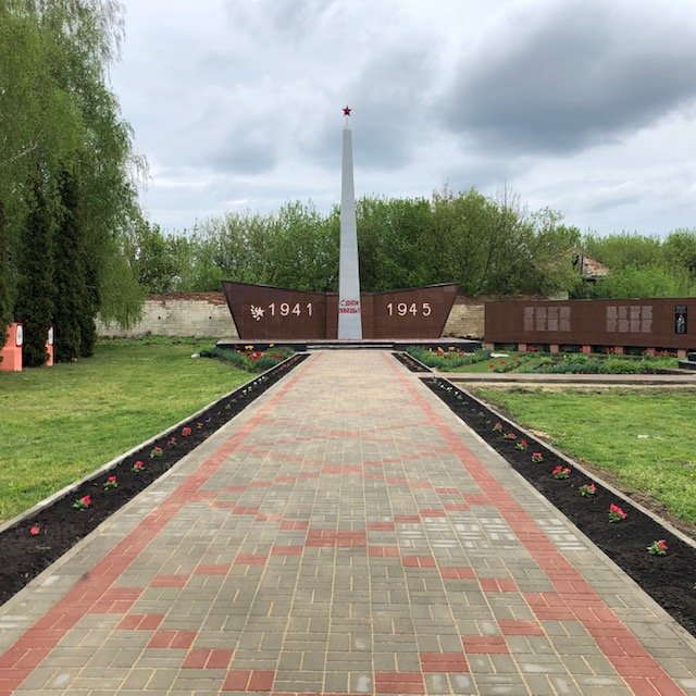 photo-1