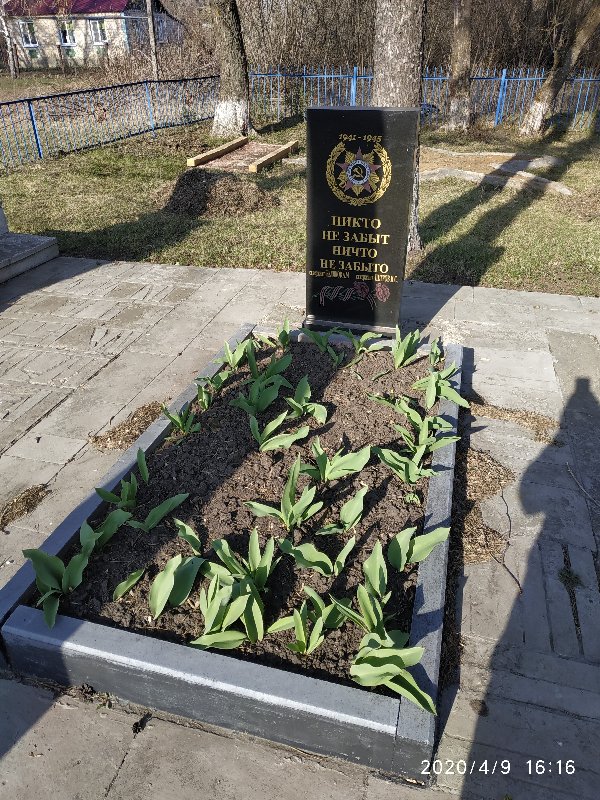 photo-1
