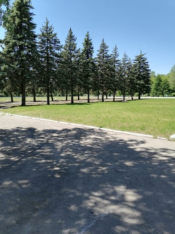 photo-5