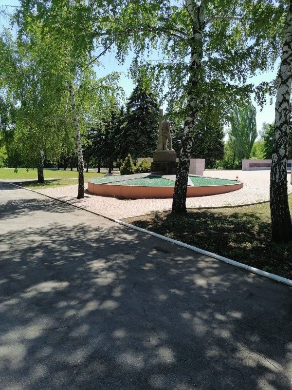 photo-6