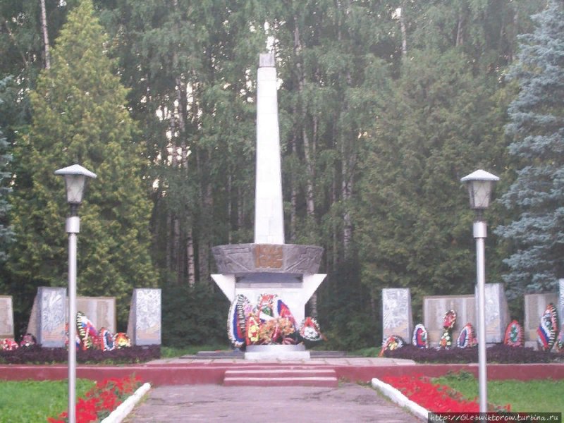 photo-1