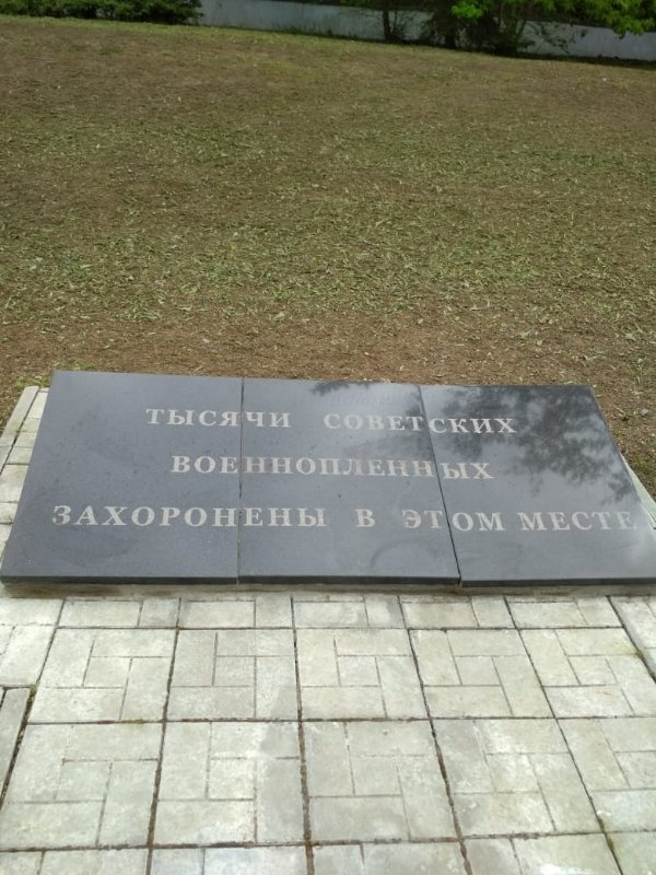 photo-8