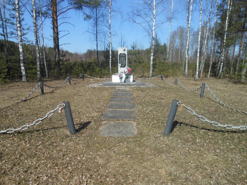 photo-1