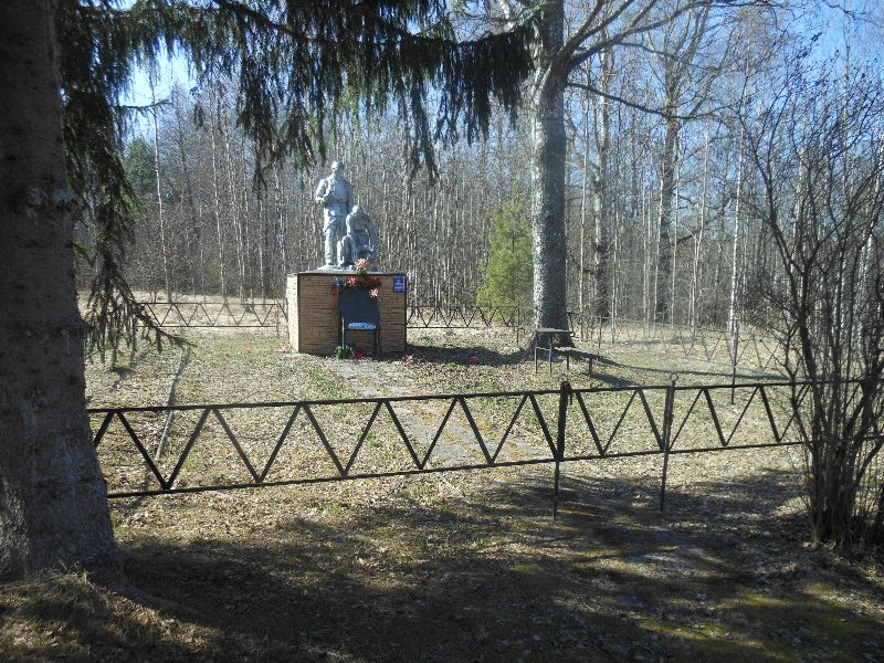 photo-3