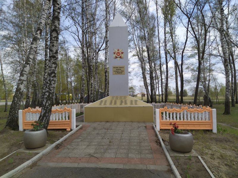 photo-0
