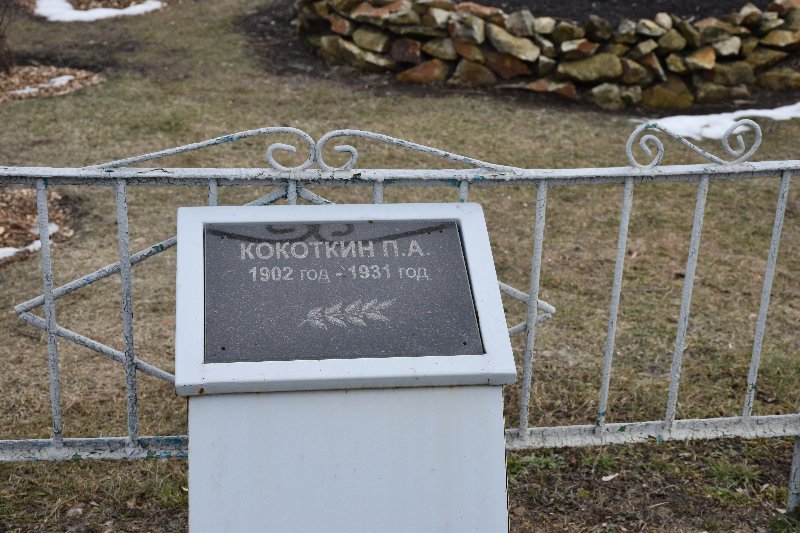 photo-0