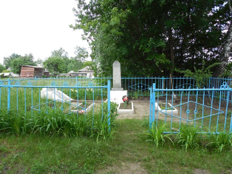 photo-1