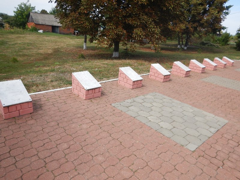 photo-1