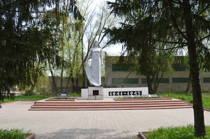 photo-1