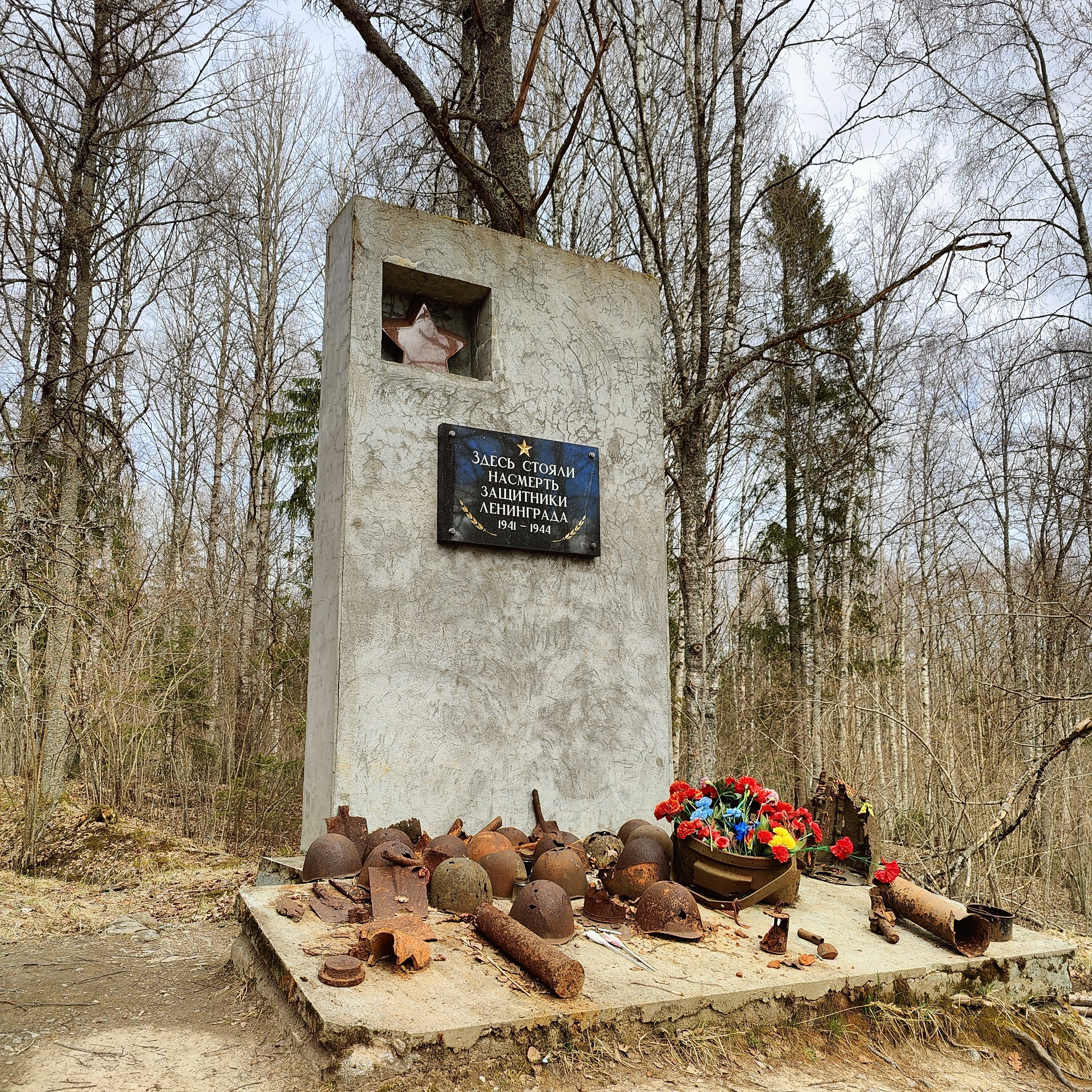 photo-11