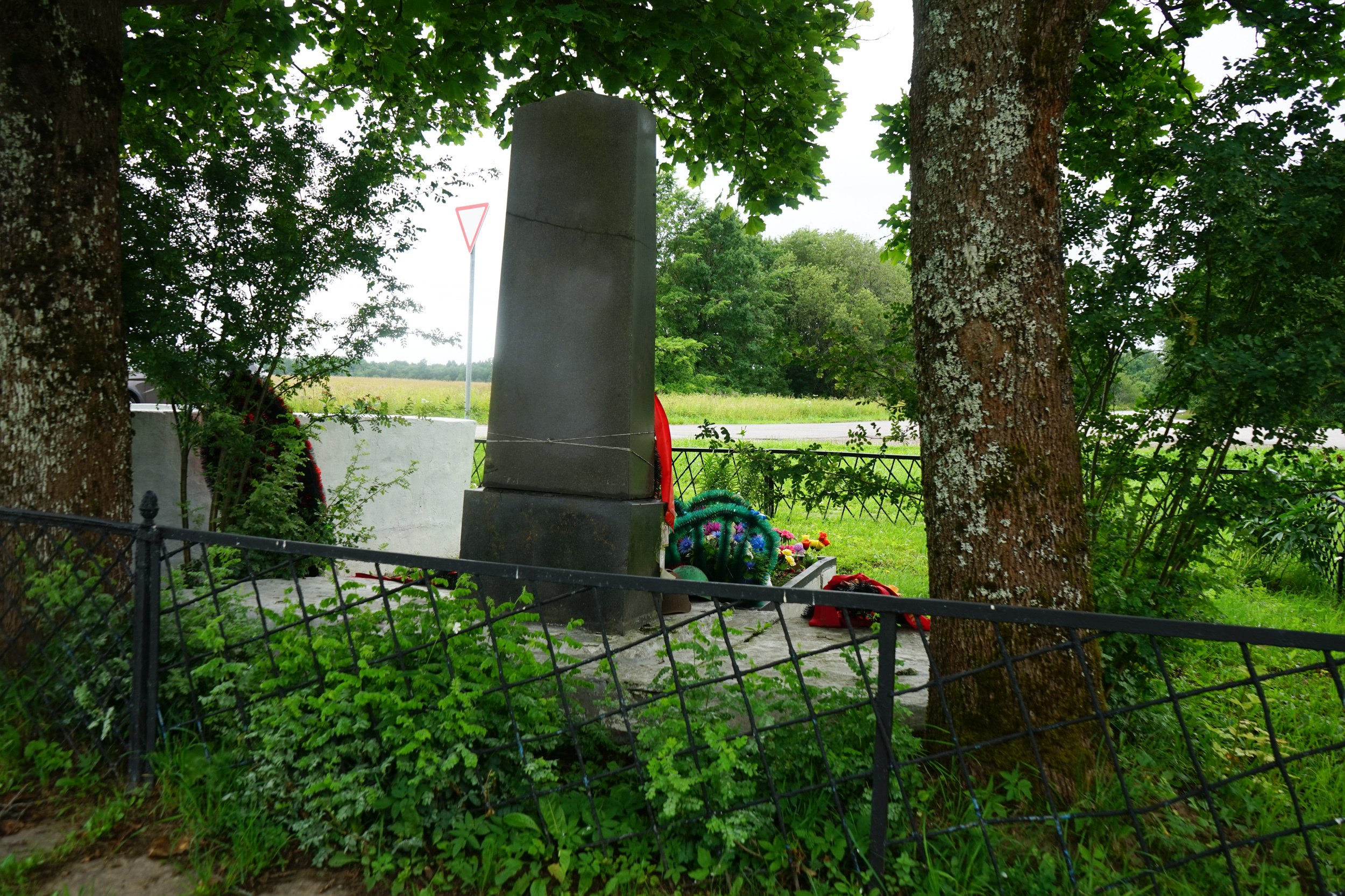 photo-5