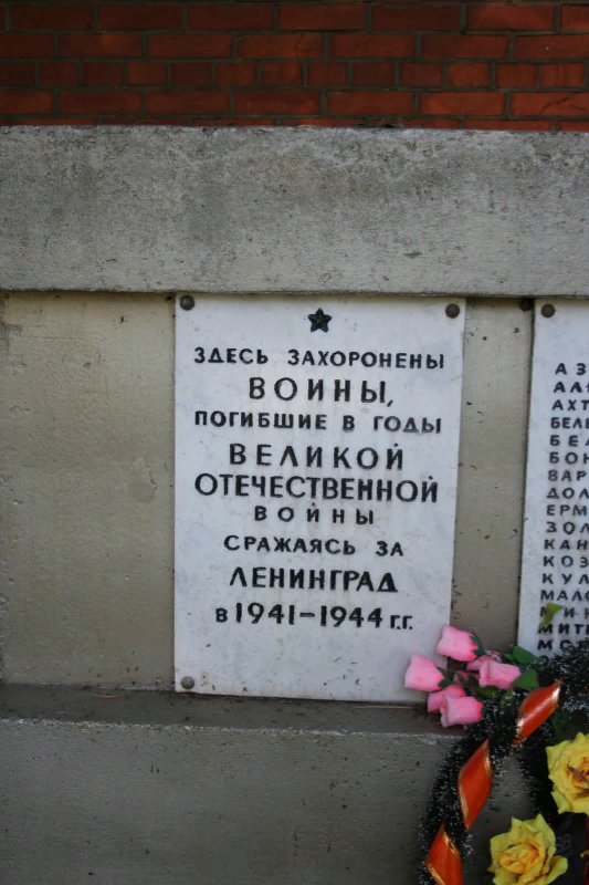 photo-1