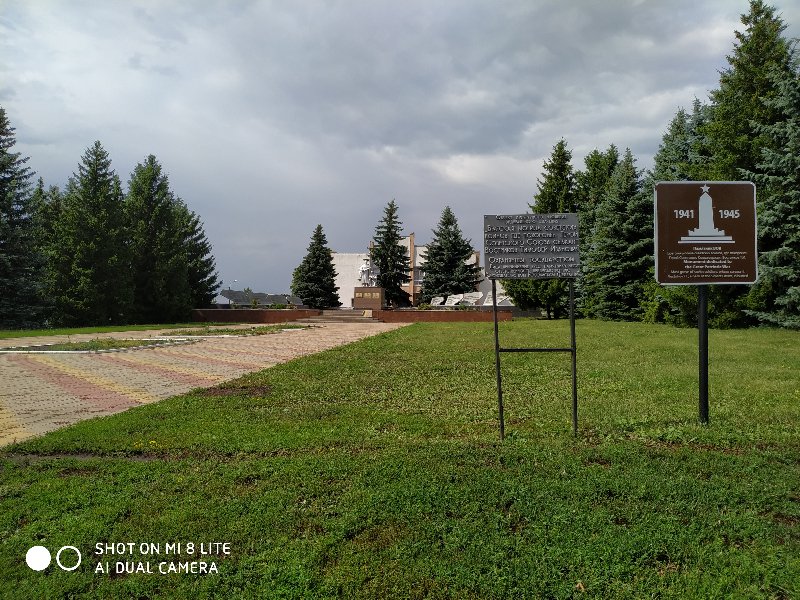 photo-1